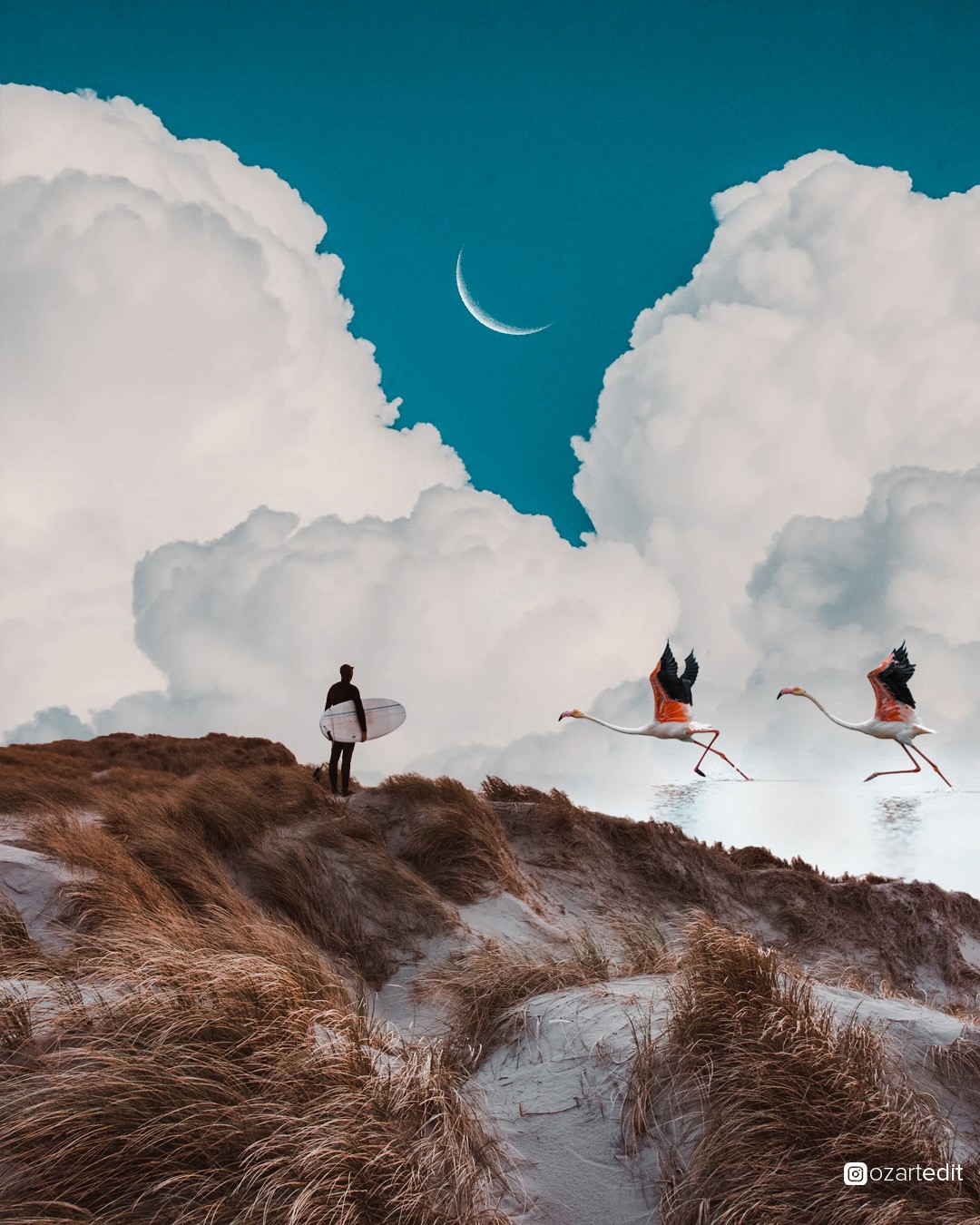 Picture of a surfer carrying his surfboard by the sea, seagulls flyings, teal sky