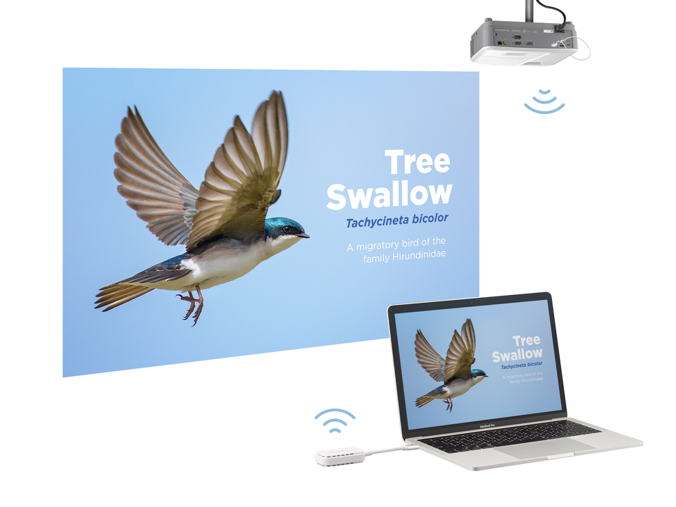 Enable Wireless Content Sharing Capability 1
