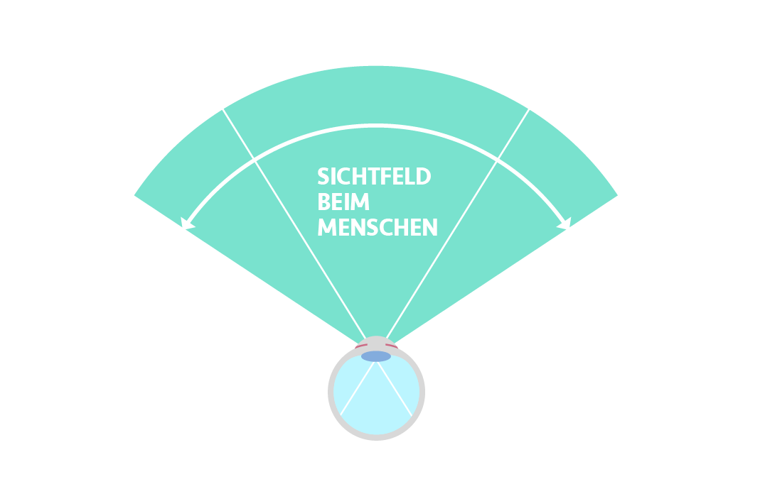 SICHTFELD BEIM MENSCHEN