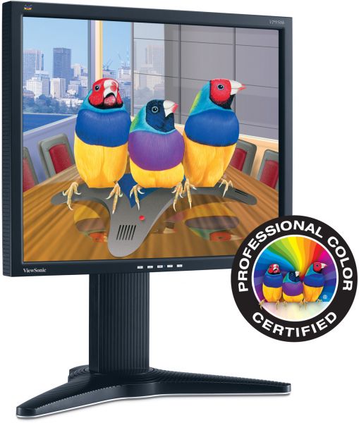 ViewSonic LCD Display Écran Pc 19" Pouces VP950b