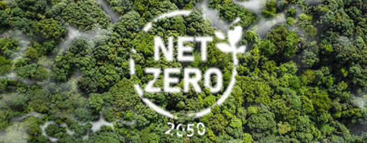 Image of a forest with Net Zero 2050 highlighted