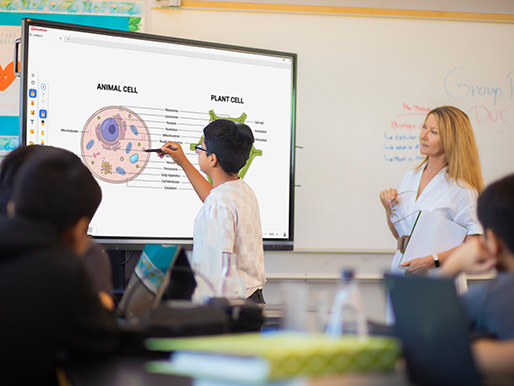 Classrooms