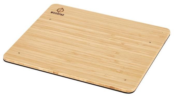 ViewSonic 電磁筆顯示器 WoodPad