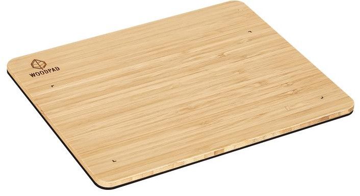 ViewSonic 電磁筆顯示器 WoodPad