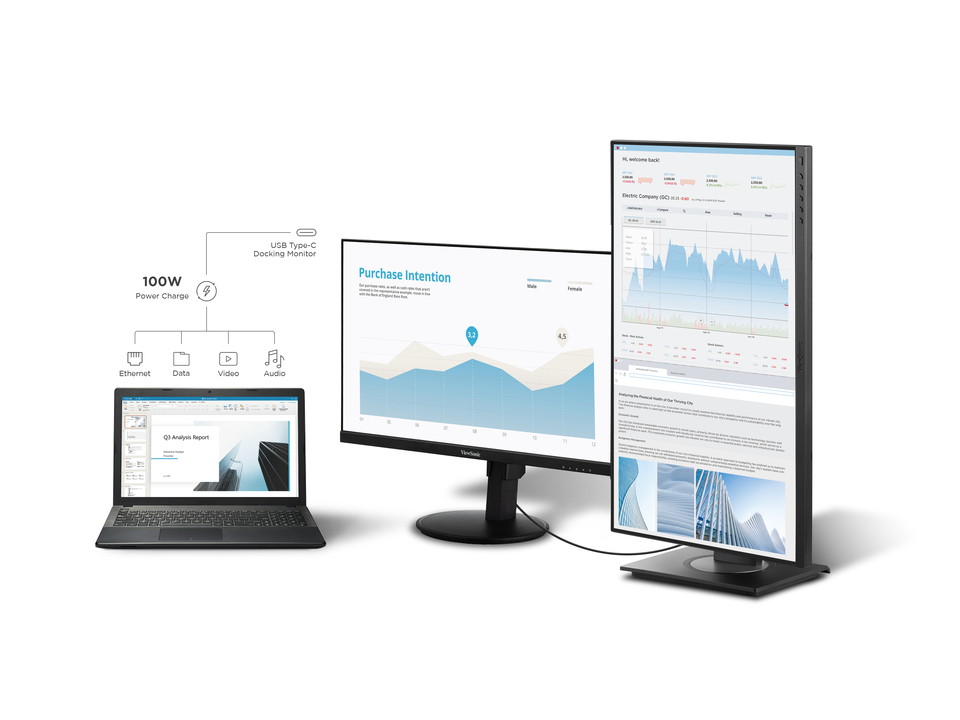 Integrated Docking Station with Daisy Chain 1