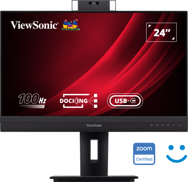 ViewSonic LCD Display VG2457V