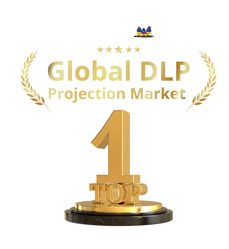 Global DLP Projection Market NO.1