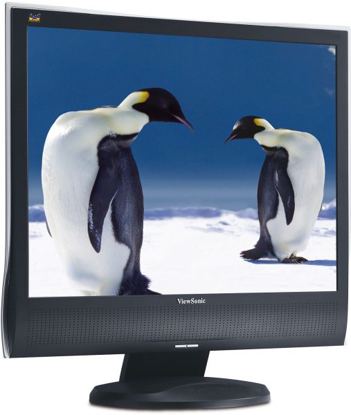 ViewSonic LCD Display VG1921wm