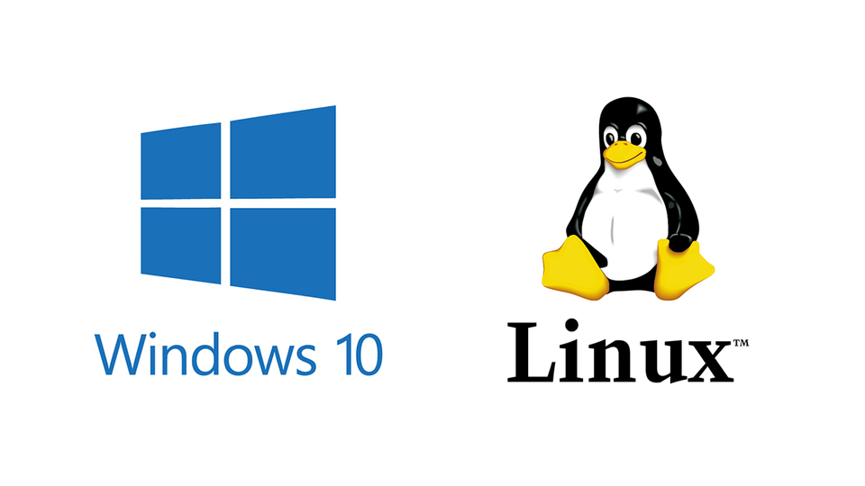 Cross-Platform Compatibility 1