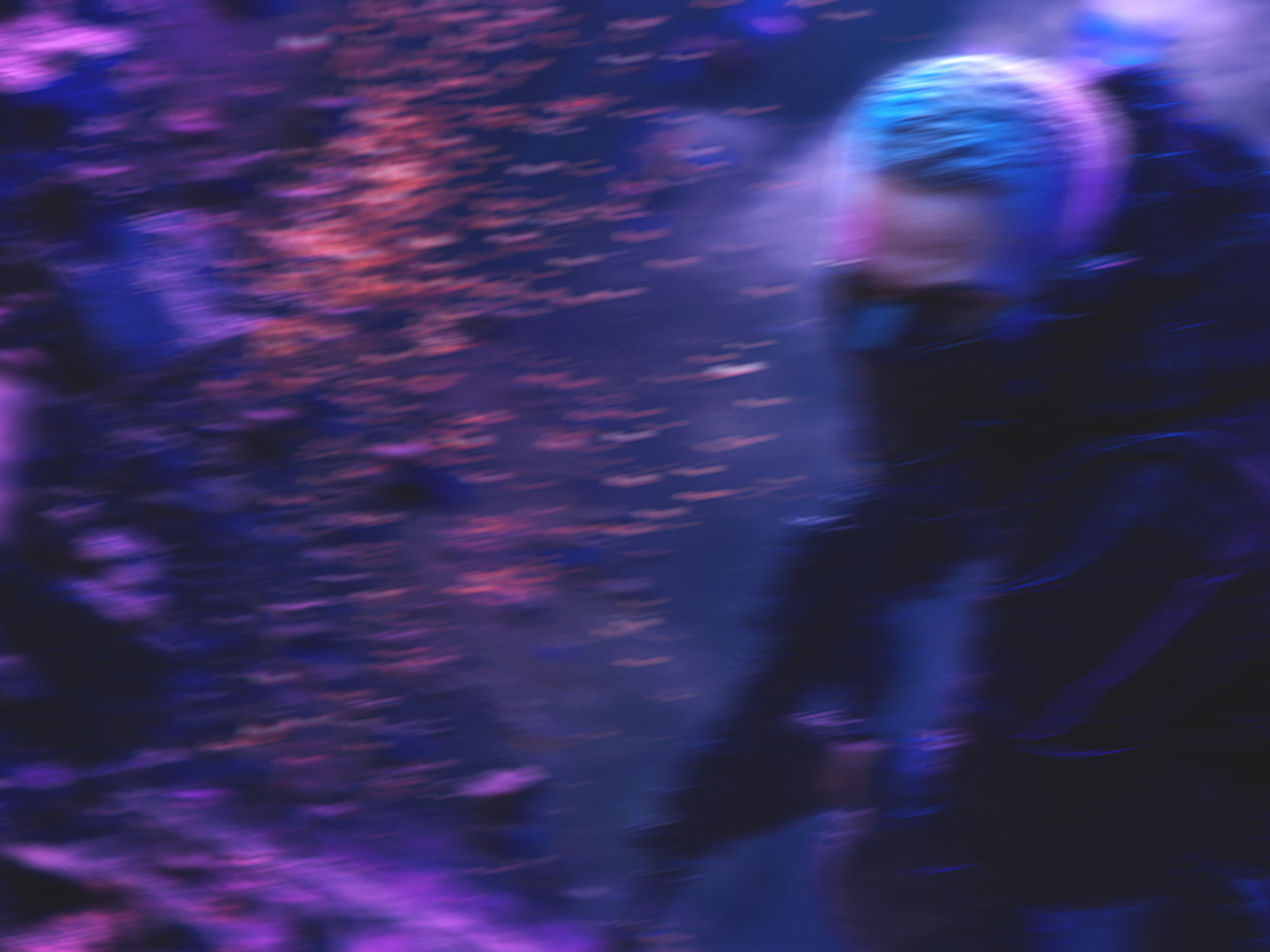  OFF