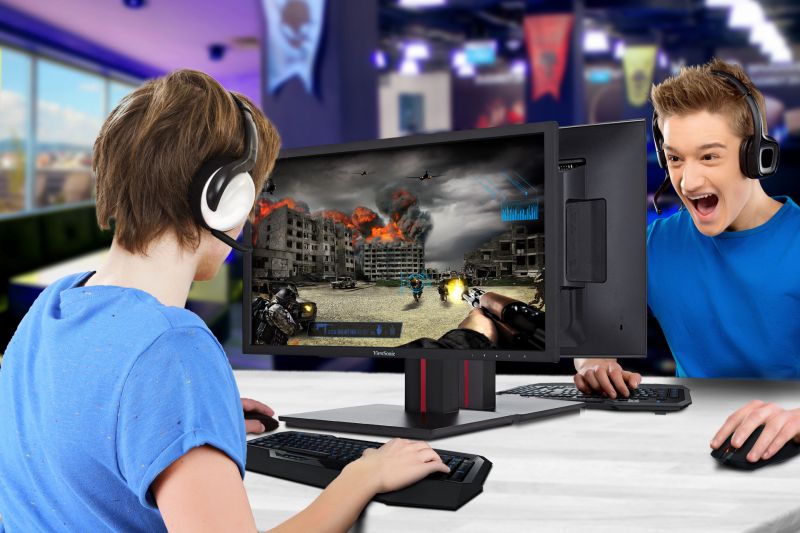 ViewSonic LCD-дисплей VG2401mh